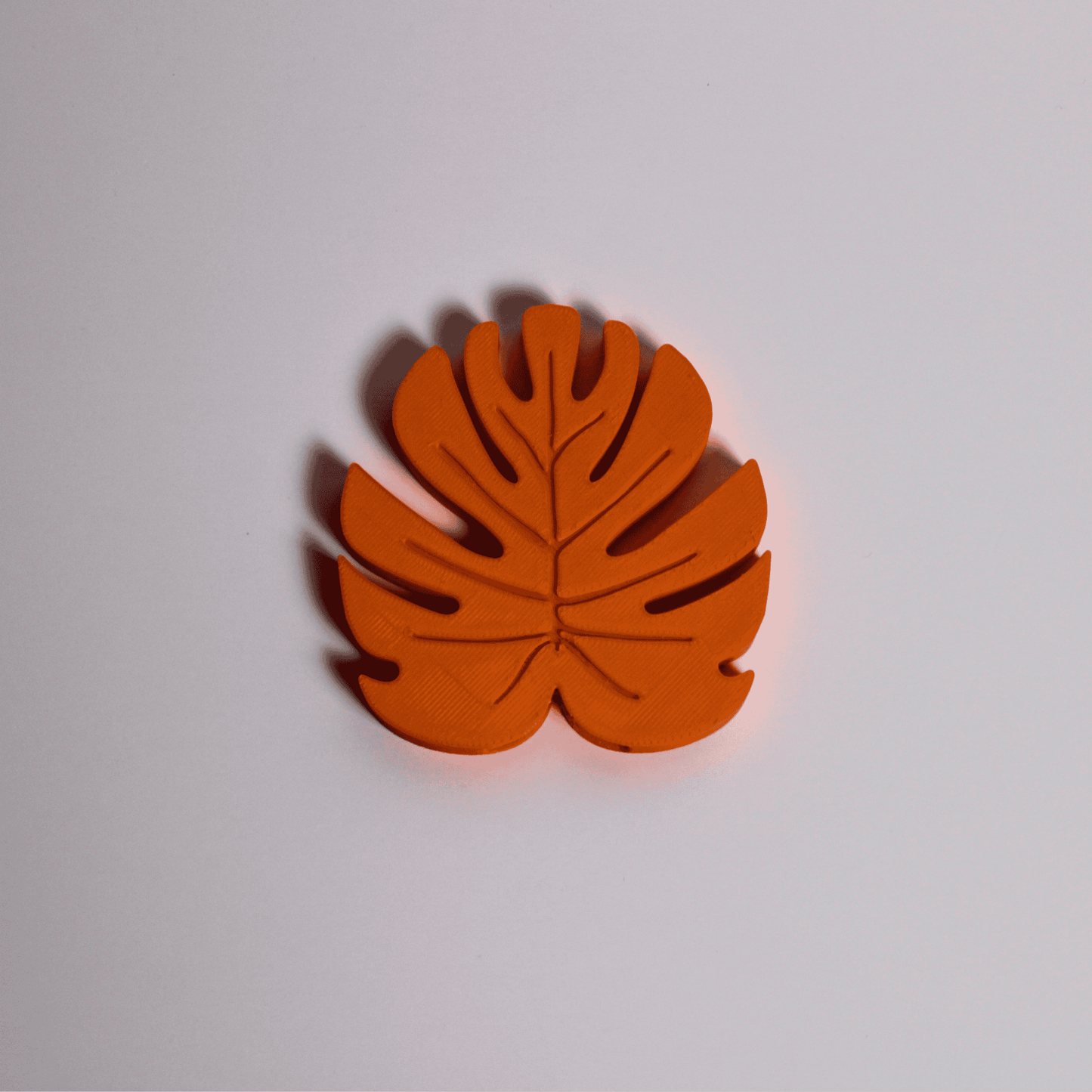 Monstera Leaf Can Opener | Ring Pull 3D Printed Kitchen Tool